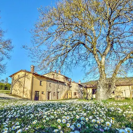 In San Vito In Monte *