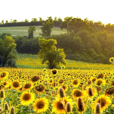 Holiday home In San Vito In Monte *