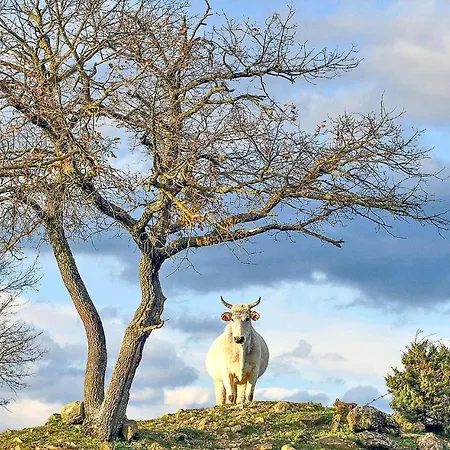 Сasa de vacaciones In San Vito In Monte *