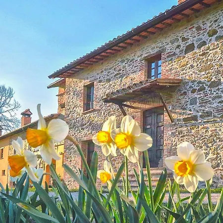 Vakantiehuis In San Vito In Monte Baccano