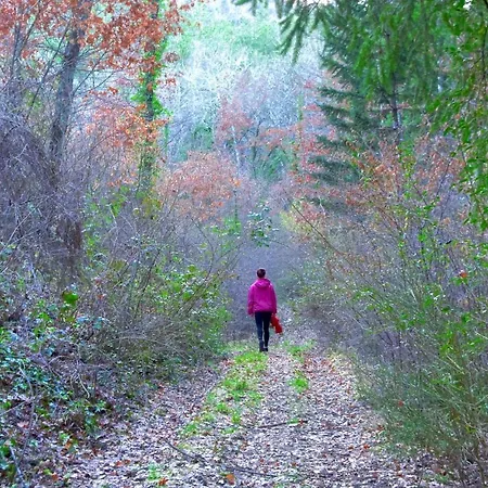 In San Vito In Monte